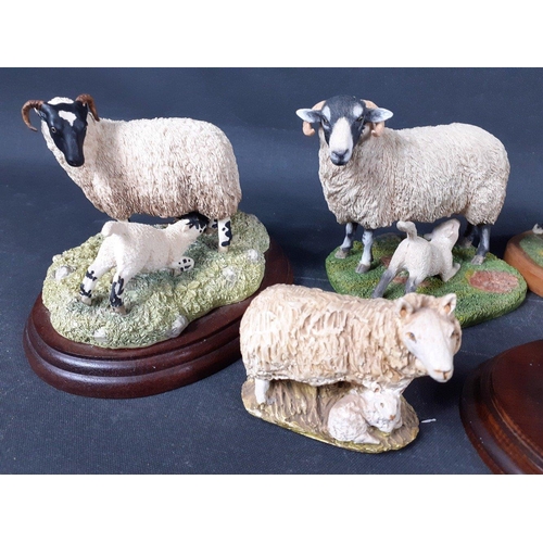 403 - BORDER FINE ARTS sheep to include Double Take (JH108) by D WALTON (1995), Swaledale Ewe and Lamb fro... 