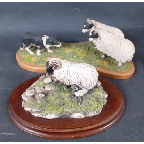 403 - BORDER FINE ARTS sheep to include Double Take (JH108) by D WALTON (1995), Swaledale Ewe and Lamb fro... 