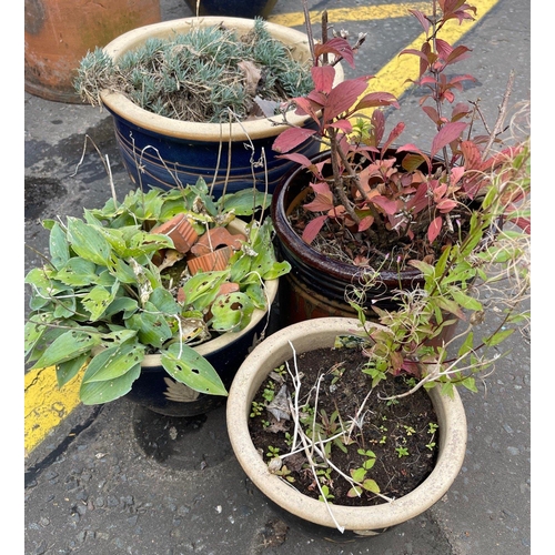 407A - A HOARD OF GARDEN POTS!!
Four CERAMIC garden planters Complete with planting - largest container is ... 