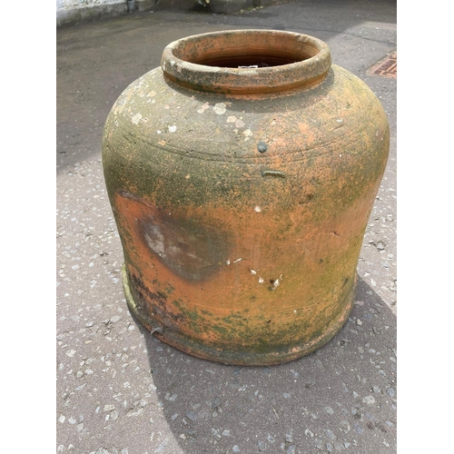 411 - ANTIQUE TERRACOTTA bell-shaped garden RHUBARB Forcer 39cm height x 39cm diameter approx#428