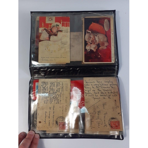 158 - A small folder containing a small amount of postcards. Around 10 postcards mainly cartoons in worn c... 