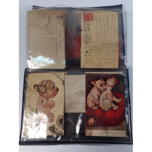 158 - A small folder containing a small amount of postcards. Around 10 postcards mainly cartoons in worn c... 