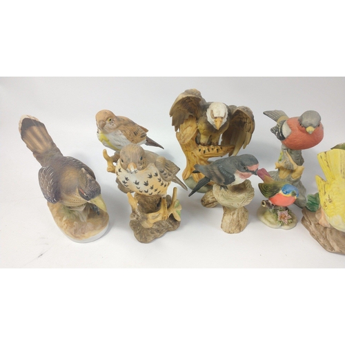 275 - A collection of THIRTEEN ceramic birds by various makers, the models include a roadrunner, bald eagl... 