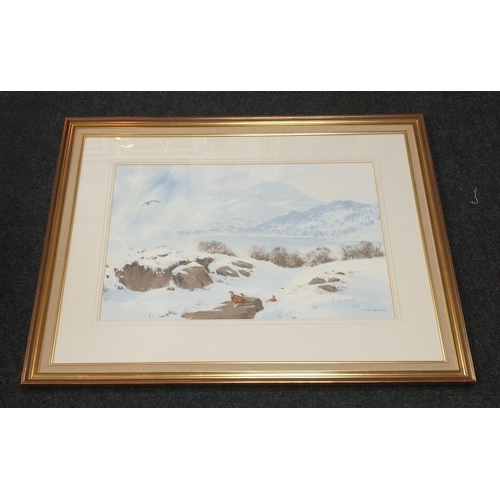 221 - A large watercolour showing GROUSE in a winter landscape signed F S BEGG , the frame measures 105cm ... 