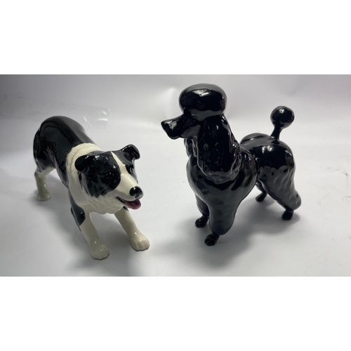 305 - A collectible Vintage BESWICK pottery black French Poodle in lovely condition with no signs of damag... 