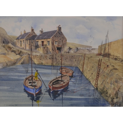 71 - BORDER INTEREST!  J JACKSON artist framed watercolour of COVE Harbour near Cockburnspath Berwickshir... 