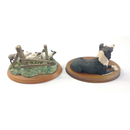 295 - Two BORDER FINE ARTS original Scotland made models.  Border Collie (DG14a) in good condition.   The ... 