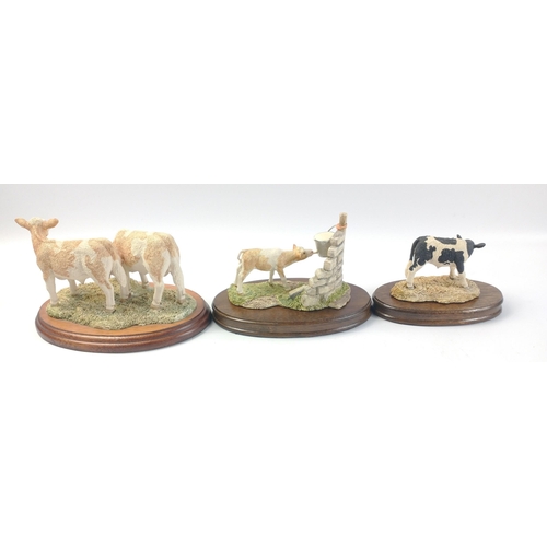 296 - Three BORDER FINE ARTS models, all original Scottish made items to include a pair of Simmental Calve... 