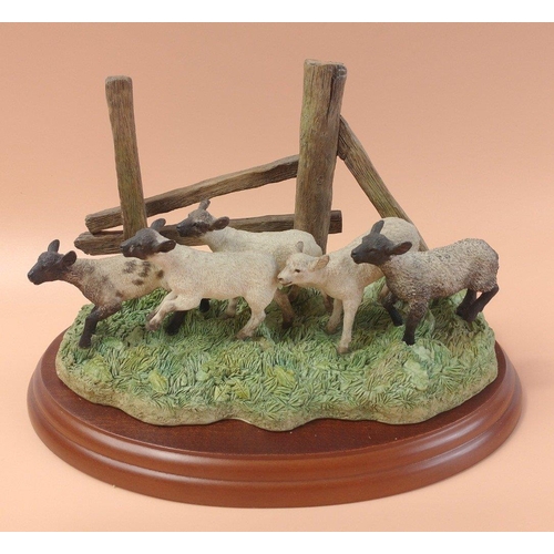 304 - BORDER FINE ARTS ' The Derby' a James Herriot series model No. A0906, on wood base, with box and in ... 