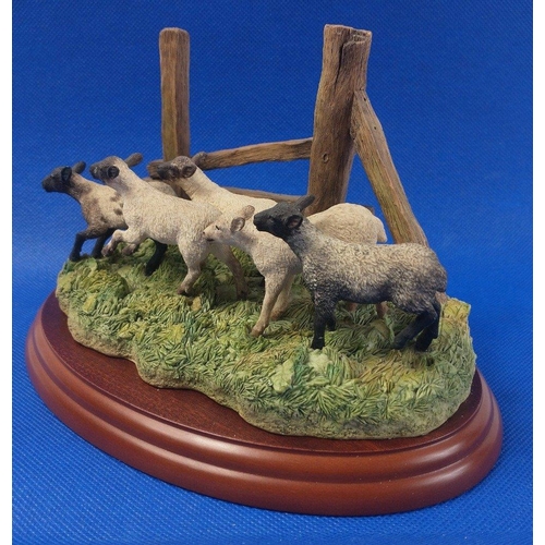 304 - BORDER FINE ARTS ' The Derby' a James Herriot series model No. A0906, on wood base, with box and in ... 