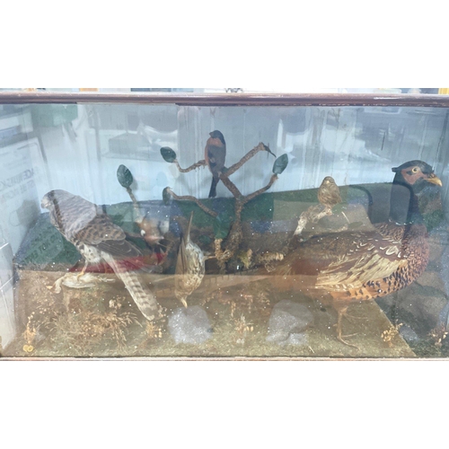 205 - A Victorian glass case to contain seven taxidermy wild birds including a pheasant, case measures 93x... 