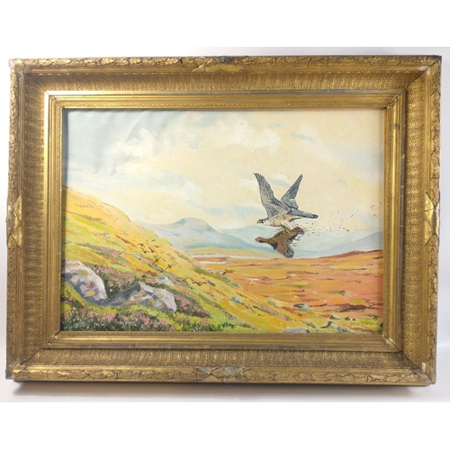 306 - An oil painting depicting a covey of GROUSE fleeing a PERIGRINE catching one of them , the painting ... 