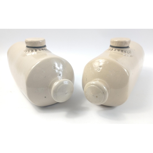 358 - Keep the winter chills at bay with these two stone pig water bottles each approx 28cm long#361