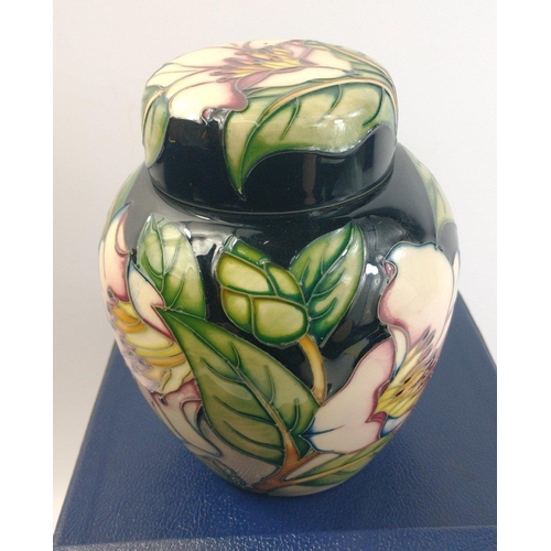 126 - A MOORCROFT limited edition (210/300) 'Chatsworth Rose' ginger jar with lid from 2001 by PHILIP GIBS... 