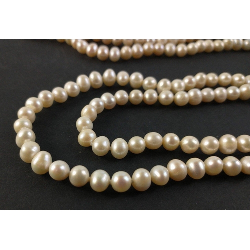 445 - A string of fresh water pearls approx 250cm long#82