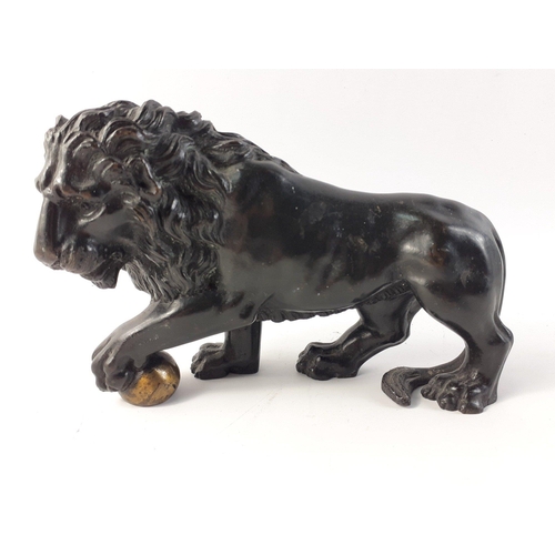 144 - A beautiful and substantial bronze Lion.  Superbly well-sculpted Lion clutching a ball, measures app... 