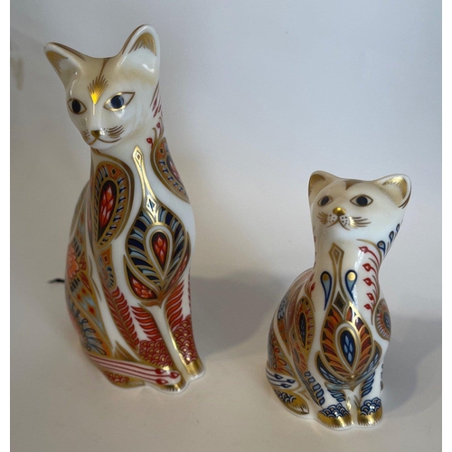 192 - ROYAL CROWN DERBY CATS both gold button tallest cat 13cm tall x 6.5cm base width approx - both cats ... 