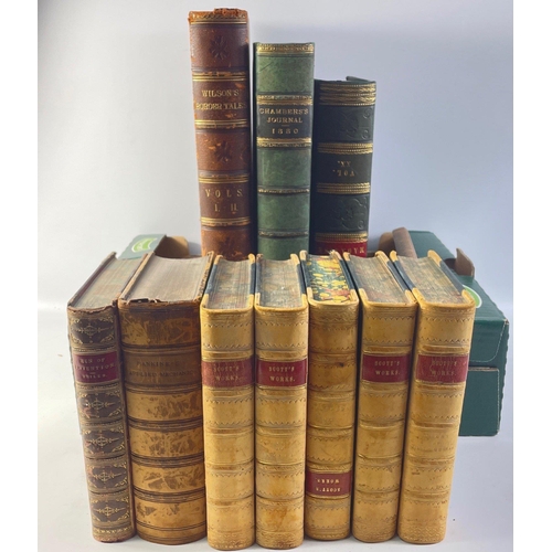 Lot 248       