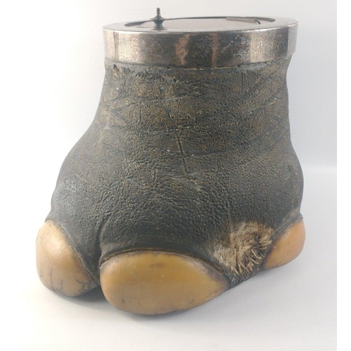 412 - A VICTORIAN c1890 ELEPHANTS FOOT stool/curio -A late 19th c elephant foot with a metal rim, with a m... 