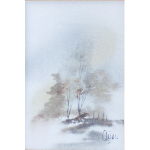 Lot 303       