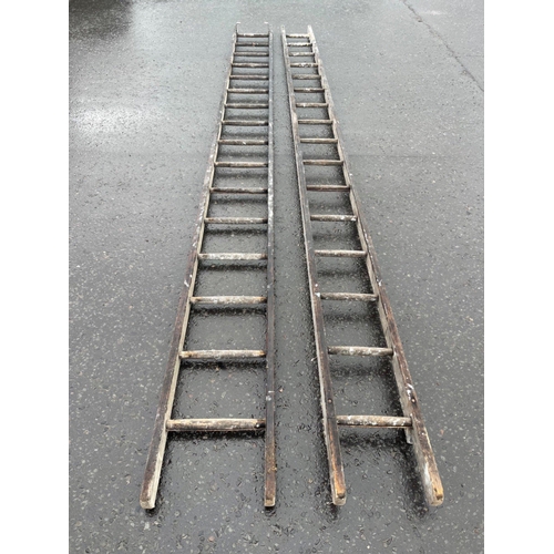 436 - A double length set of step ladders#145