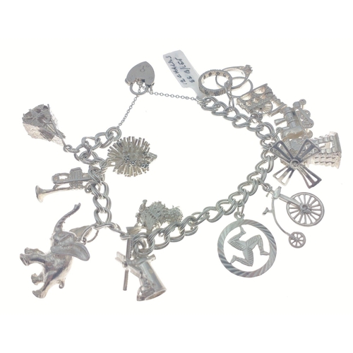 100 - Silver charm bracelet with multiple beautiful animal charms including an elephant, hedgehog etc. Tot... 