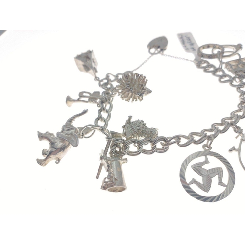 100 - Silver charm bracelet with multiple beautiful animal charms including an elephant, hedgehog etc. Tot... 