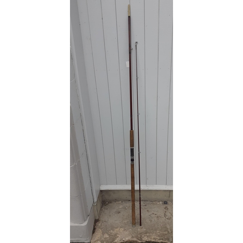 146 - A DELPHIN 9ft 2 piece fishing rod in good used condition#44