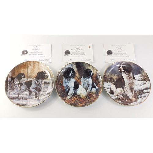 284 - FOR LOVERS OF SPRINGER SPANIEL DOGS! 9 beautiful DANBURY MINT fine porcelain collector plates trimme... 