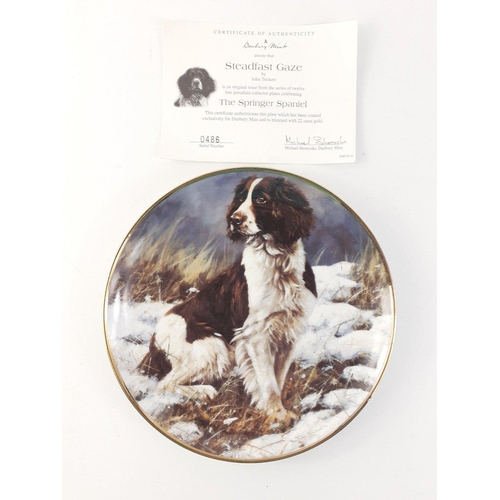 284 - FOR LOVERS OF SPRINGER SPANIEL DOGS! 9 beautiful DANBURY MINT fine porcelain collector plates trimme... 