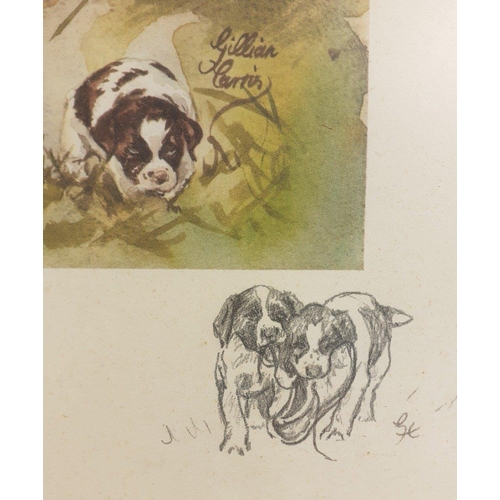 294 - PRESENT & FUTURE by Gillian Cairns print No752/850 of spaniels with a special artist extra penci... 