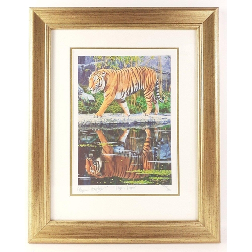 297 - For LOVERS of AFRICAN BIG CATS and TIGERS! Six STEPHEN GAYFORD signed limited prints of lions, cheet... 