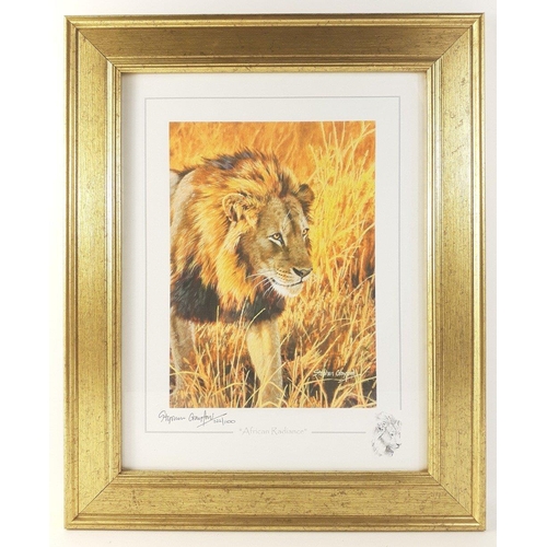 297 - For LOVERS of AFRICAN BIG CATS and TIGERS! Six STEPHEN GAYFORD signed limited prints of lions, cheet... 