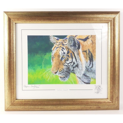 297 - For LOVERS of AFRICAN BIG CATS and TIGERS! Six STEPHEN GAYFORD signed limited prints of lions, cheet... 