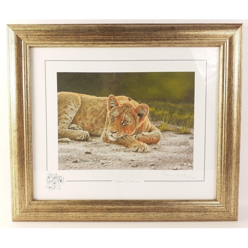 297 - For LOVERS of AFRICAN BIG CATS and TIGERS! Six STEPHEN GAYFORD signed limited prints of lions, cheet... 