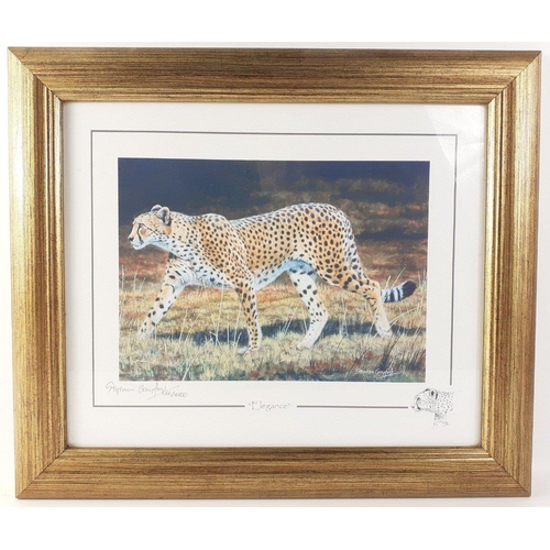 297 - For LOVERS of AFRICAN BIG CATS and TIGERS! Six STEPHEN GAYFORD signed limited prints of lions, cheet... 