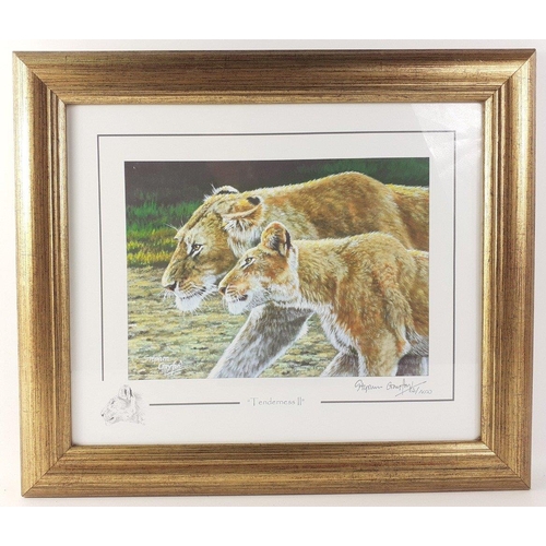 297 - For LOVERS of AFRICAN BIG CATS and TIGERS! Six STEPHEN GAYFORD signed limited prints of lions, cheet... 