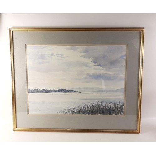 308 - An original watercolour of a river scene by EW HODGE 1990, frame size 70cm x 56cm, visible work 52x3... 