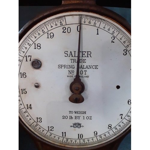 428 - A super set of SALTER Trade Spring Balance Scales No. 50T with nice white clean face, a little surfa... 