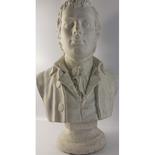 486 - A large and imposing bust of RABBIE BURNS standing 54cm tall. Plaster with a crackle whitewash finis... 