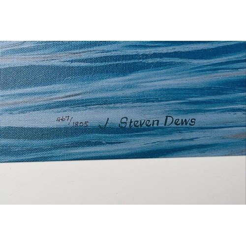 147 - A rare very large limited edition on canvas by the world renowned artist STEVEN DEWS who many regard... 