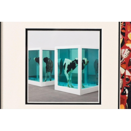 200 - This framed presentation of the world renowned artist DAMIEN HIRST is a great memorabilia collector'... 