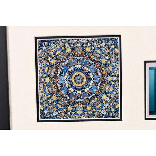 200 - This framed presentation of the world renowned artist DAMIEN HIRST is a great memorabilia collector'... 