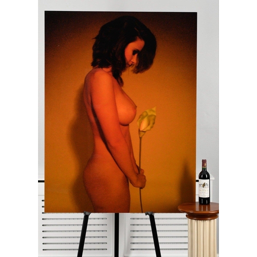 229 - An original very large (140cm x 105cm) coloured photograph by the famous music photographer GUIDO KA... 