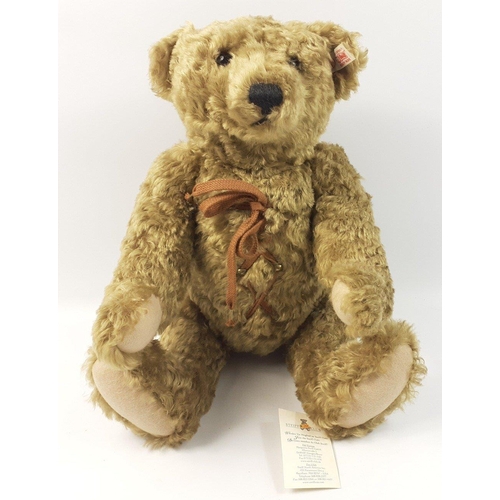 193 - A STEIFF 1907 reproduction bear with hot water bottle, reference 667299, stands 14 inches high, from... 