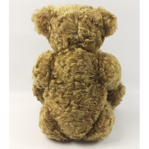 193 - A STEIFF 1907 reproduction bear with hot water bottle, reference 667299, stands 14 inches high, from... 