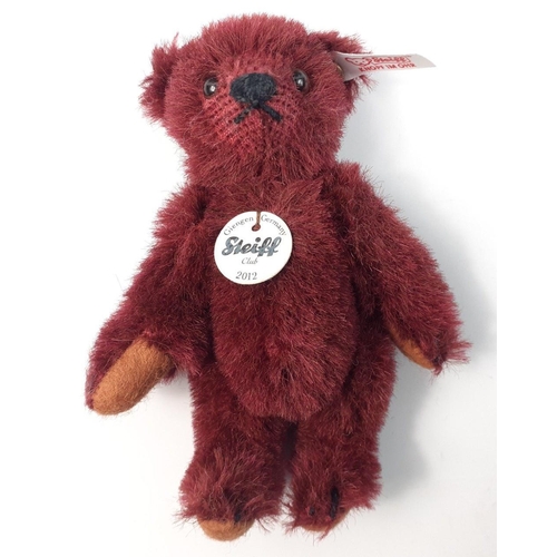 224 - A STEIFF CLUB 2012 burgundy teddy bear in its box, stands 10cm high with certificate#62