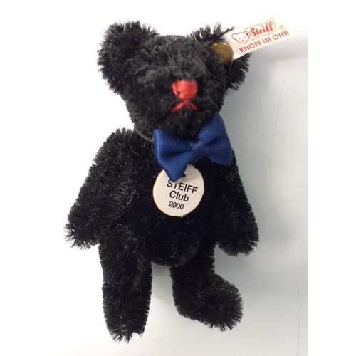 228 - A STEIFF CLUB 2000 black teddy bear in its box, stands 7cm high with certificate#66