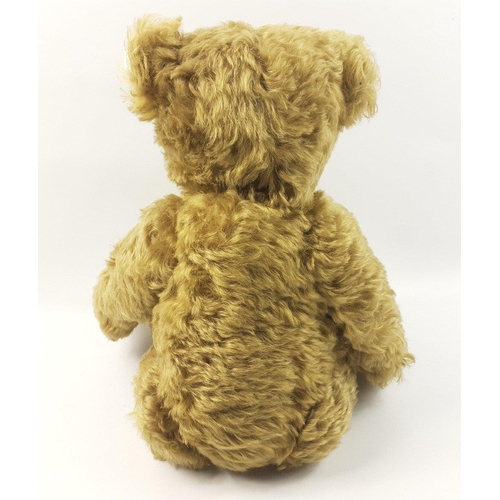 300 - A STEIFF 1907 teddy bear with hot water bottle, reference 406621, stands 50cm high, with mohair fur ... 