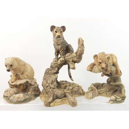 366 - A collection of TEVIOTDALE figurines modelled by DEBBIE EDLMANN to include a lion cub, a leopard cub... 